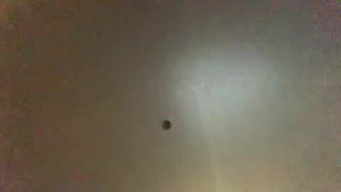 For You online show from February 14, 9:24 am