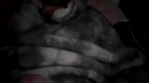 hardieboy25 online show from October 3, 2:38 am