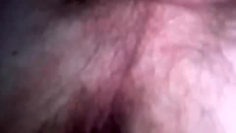 hardtits707 online show from November 18, 1:53 am