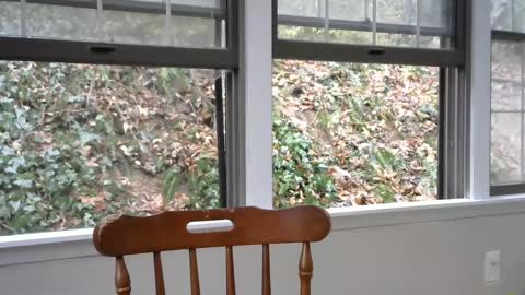 hardworkertn online show from February 8, 7:16 pm