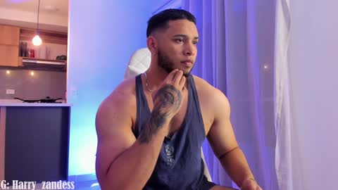 Harry Zandes online show from January 29, 3:01 am