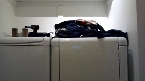 hdrsh08 online show from January 7, 2:16 pm