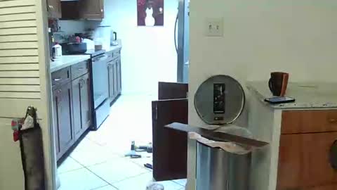 HE Black online show from April 25, 6:16 pm