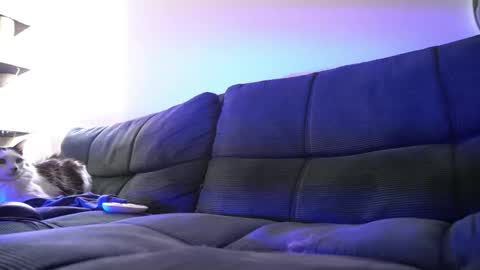 Owner of your wallet  online show from March 3, 7:32 pm