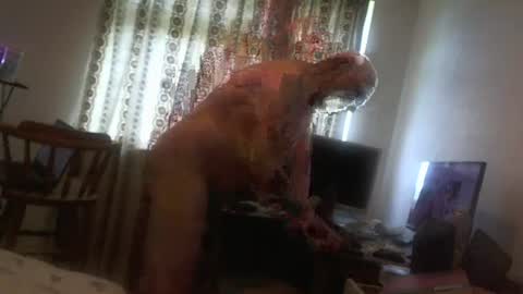 mature online show from June 27, 9:23 am