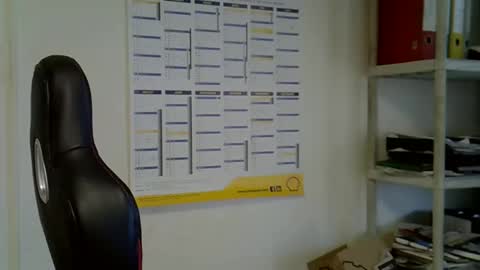 hippo online show from December 2, 9:55 am