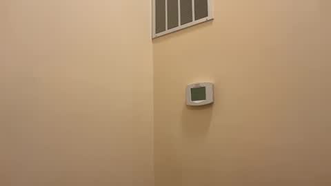 honey_man14 online show from February 12, 4:57 pm