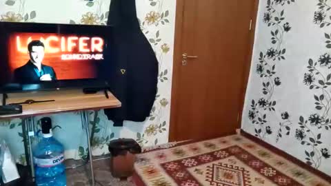 Kristiyan online show from February 24, 12:34 am