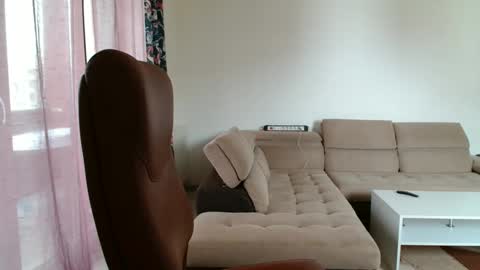 Hotboyshorny online show from February 17, 12:48 pm