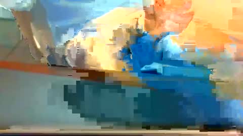 Jay.....jayhoe878 SC online show from September 22, 4:50 pm