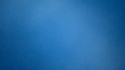 hummelbummel00 online show from February 11, 7:19 pm