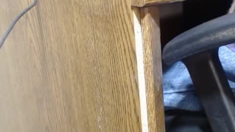 hungsofine online show from December 23, 9:40 pm