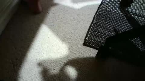 Hypeman online show from April 25, 5:21 am