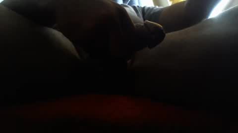 icecreamman6986 online show from January 1, 8:15 pm