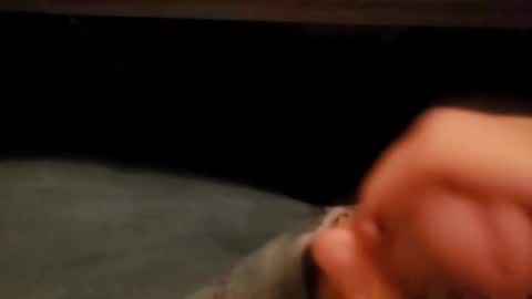 ilovepussy1974 online show from December 6, 11:00 am