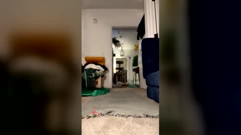 imlightskn online show from January 8, 10:09 am