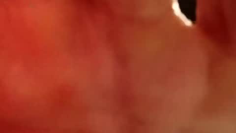 Snapshot of imopqsuguidz chatting on September 21, 6:24 am imopqsuguidz online show from September 21, 6:24 am