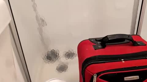 IndulgeInFantasee online show from April 12, 5:36 pm