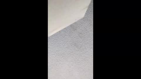 ironsharp online show from March 1, 11:54 am