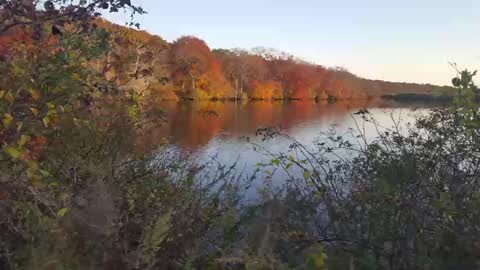 Jim online show from February 27, 9:43 am