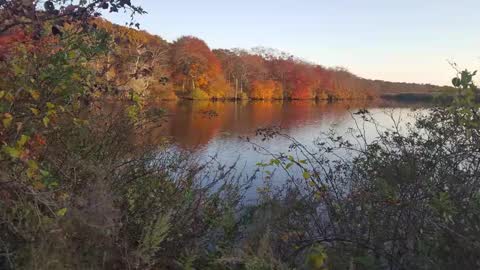 Jim online show from February 9, 9:58 am