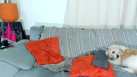 Calix  Independient model Insta and twt Calixsnake online show from December 10, 2:13 am