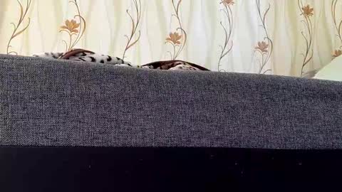 jaaaaanek2 online show from April 21, 6:52 am