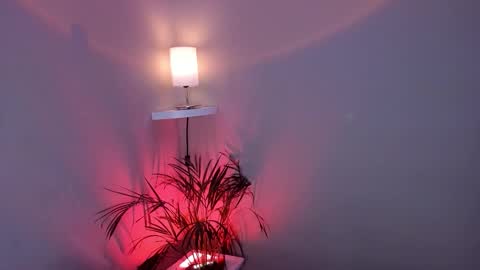 jacke__lee online show from November 27, 4:49 am