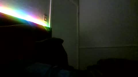 Jamacian online show from February 18, 10:16 am