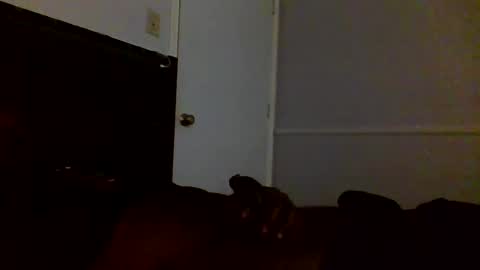 Jamacian online show from February 23, 5:46 pm