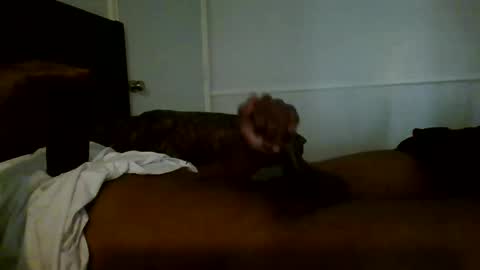 Jamacian online show from January 2, 8:35 pm