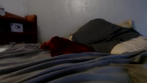 what you in too online show from January 26, 2:03 am