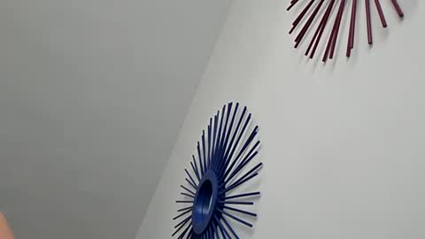 jay773474 online show from August 4, 8:46 pm