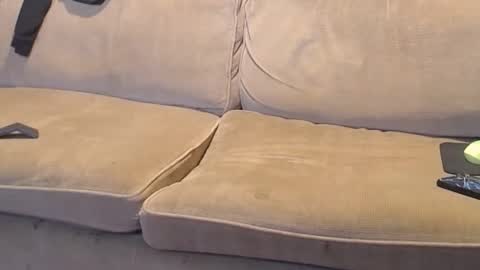 O F   jay short786 online show from February 18, 2:49 am