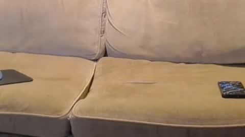 O F   jay short786 online show from January 27, 12:05 pm