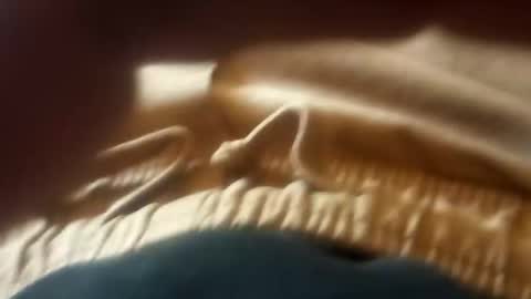 bigcock420 online show from March 12, 6:59 pm