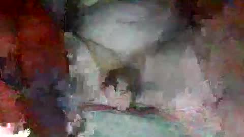 jearnold44 online show from September 13, 4:46 am