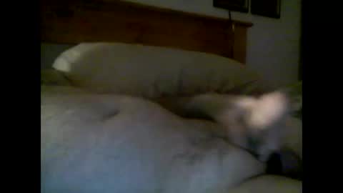 jerkmate6666 online show from December 14, 10:50 pm