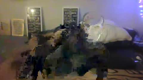 jglarsbel online show from April 7, 11:43 am