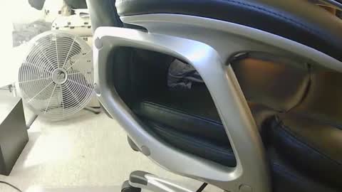 Snapshot of jherm485334 chatting on January 24, 10:51 pm jherm485334 online show from January 24, 10:51 pm