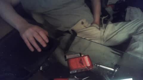 dads underpants online show from July 29, 10:53 pm