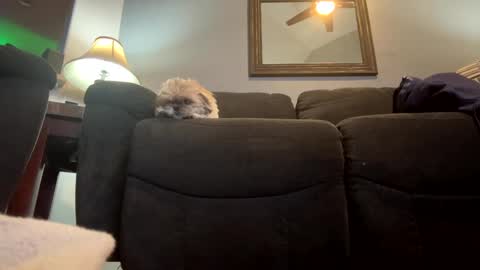 Jimmy online show from January 21, 11:02 pm