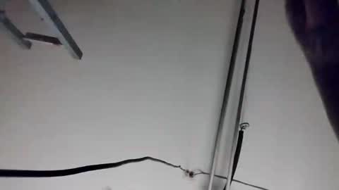 job71493 online show from October 16, 9:06 am