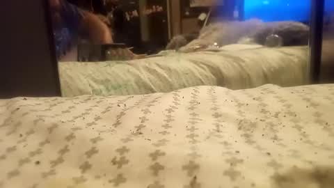 joemomma612 online show from November 9, 9:02 am