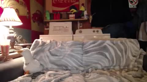 Johston online show from May 17, 12:41 am