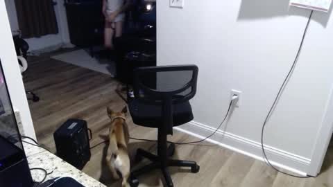 Josef online show from January 12, 12:03 am