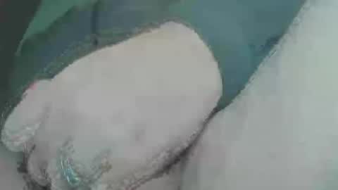 Jrgen Schnfeld online show from December 5, 10:12 pm