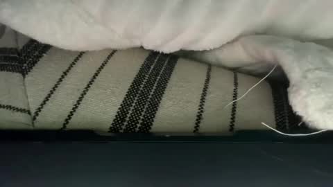 JuicyDaddy21 online show from October 22, 2:59 am