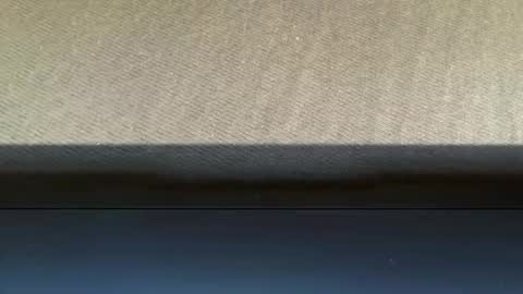 just_a_normal_gu online show from October 6, 10:03 pm