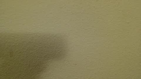 Just marlon online show from February 19, 8:31 pm